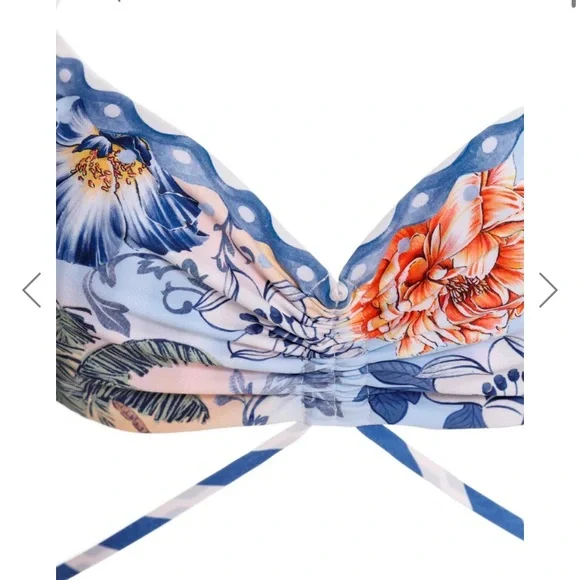 Agua Bendita Blue Floral and Striped Bikini